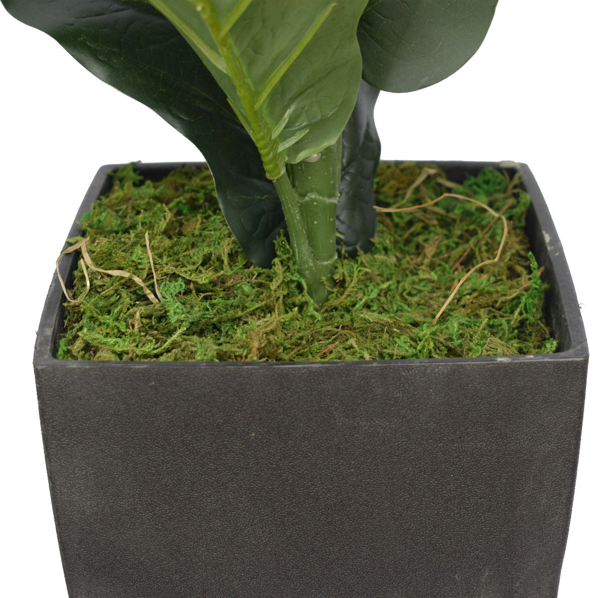 Lifelike 70cm Fiddle Leaf Fig Artificial Tree in Decorative Pot Close up of decorative pot and base of plant