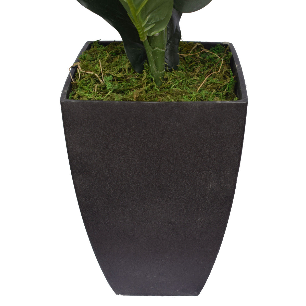 Lifelike 70cm Fiddle Leaf Fig Artificial Tree in Decorative Pot Decorative black pot