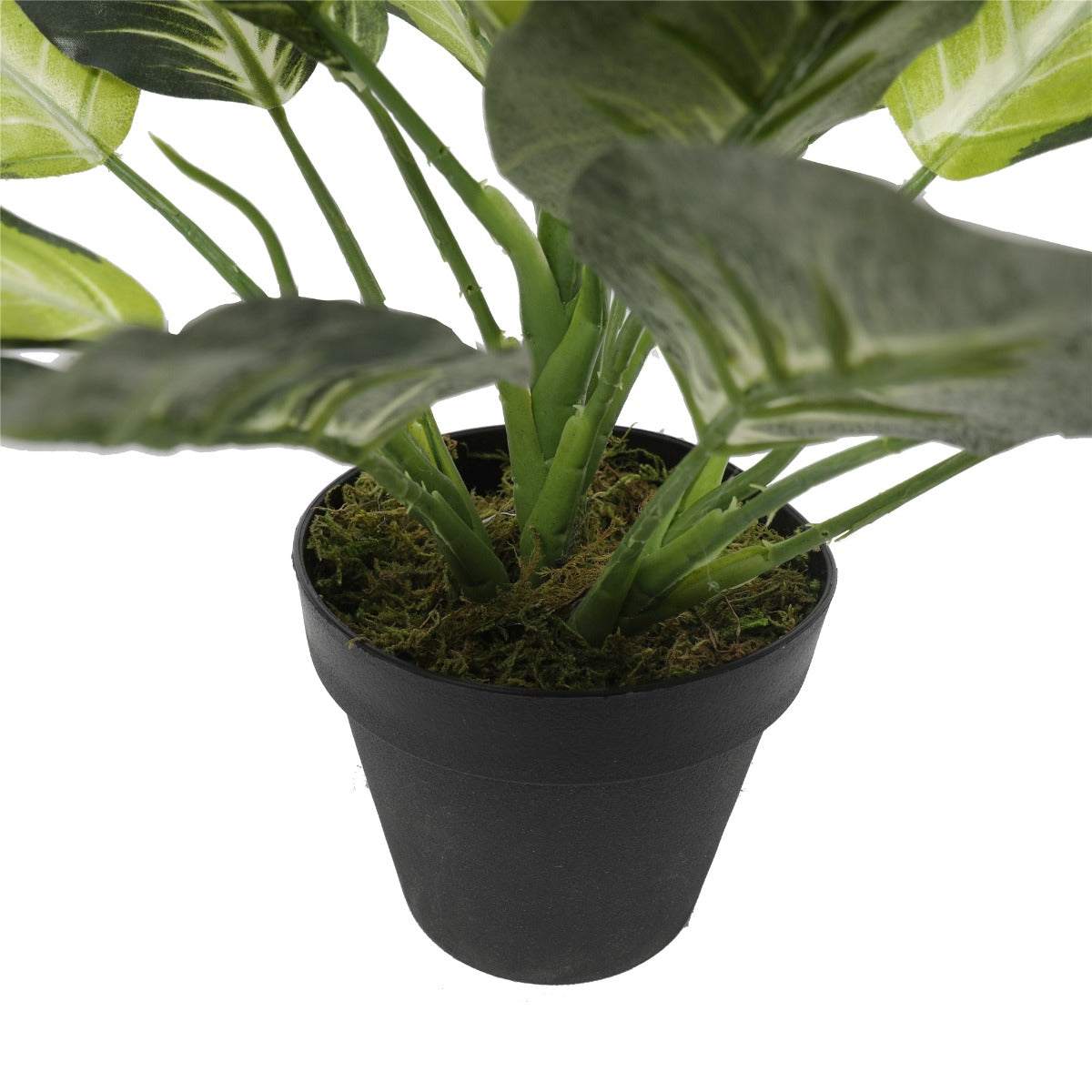 Lifelike Leopard Lily Artificial Plant (Dieffenbachia) with Pot 40cm. Black pot and base of plant view 