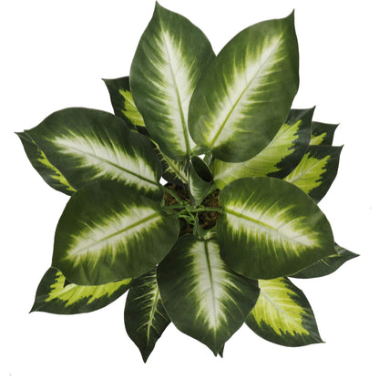 Lifelike Leopard Lily Artificial Plant (Dieffenbachia) with Pot 40cm. View looking down from top