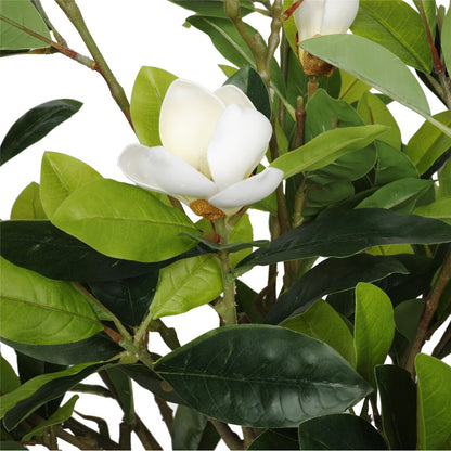 Artificial White Flowering Magnolia Tree with Pot 130cm Close up of white flower