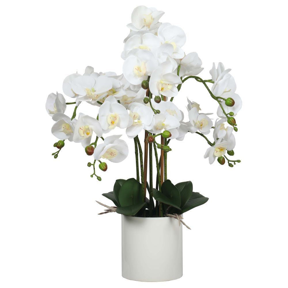 Lifelike 65cm Multi Stem White Artificial Orchid in Decorative Pot Full view