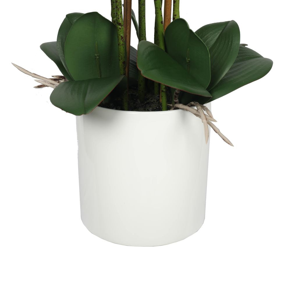 Lifelike 65cm Multi Stem White Artificial Orchid in Decorative Pot White pot view