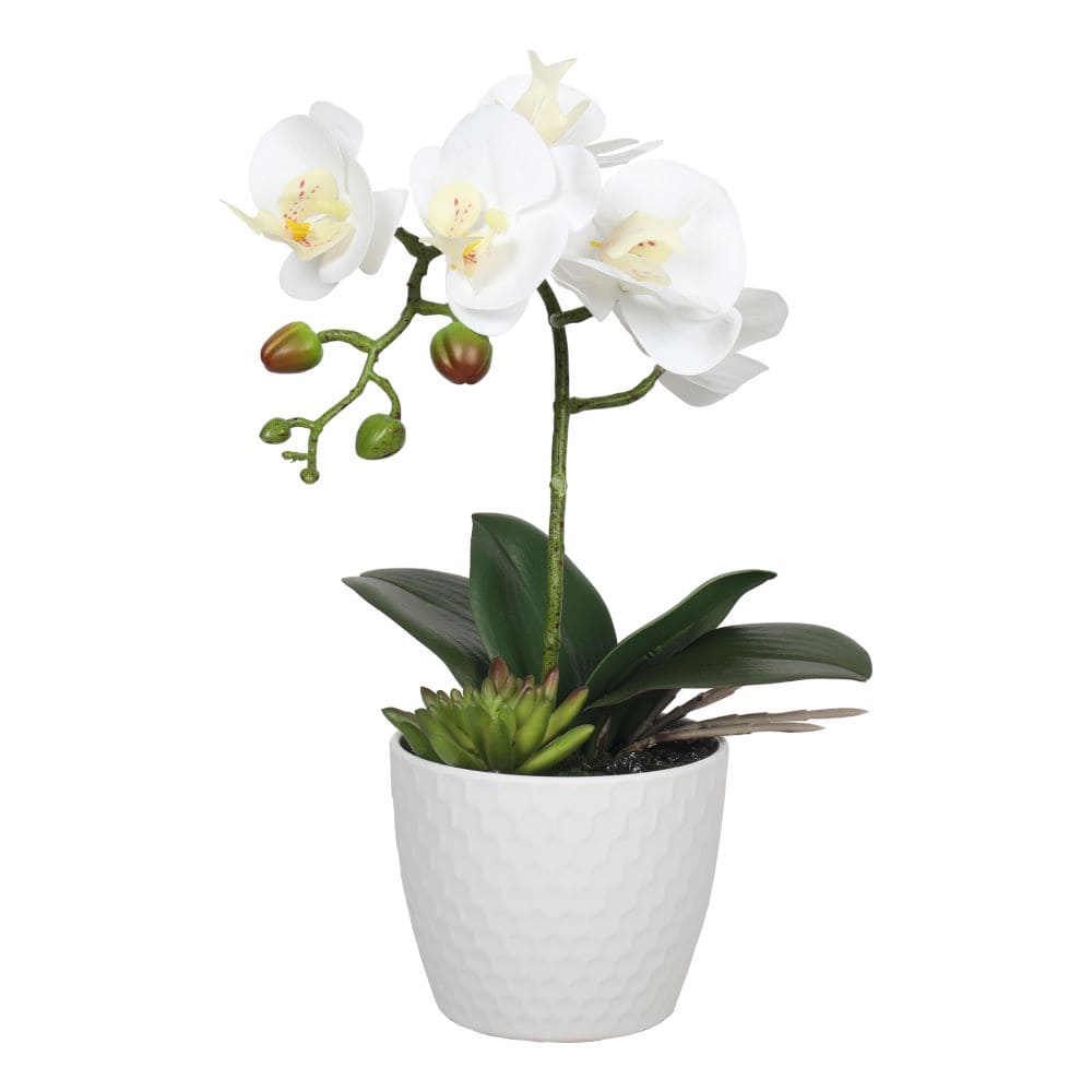 Artificial Potted Single Stem White Phalaenopsis Orchid with Decorative Pot 35cm full view