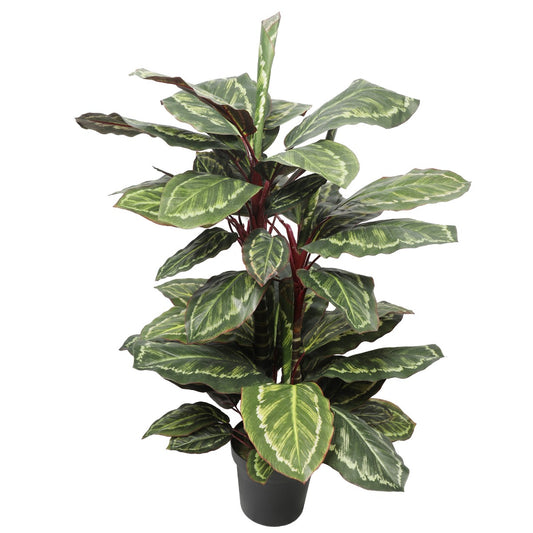 Artificial Wide Leaf Cordyline Plant 90cm Full view