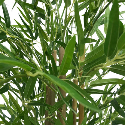 Natural Bamboo Trunk (Real Touch Leaves) 180cm close up of leaves