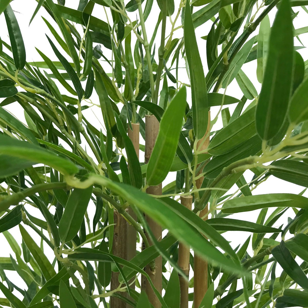 Natural Bamboo Trunk (Real Touch Leaves) 150cm Close up of leaves