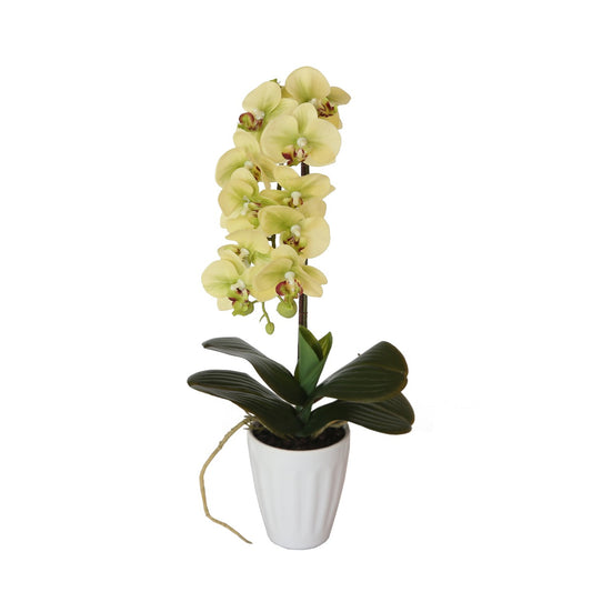 Lifelike 40cm Cream Butterfly Artificial Orchid in Decorative Pot Full view