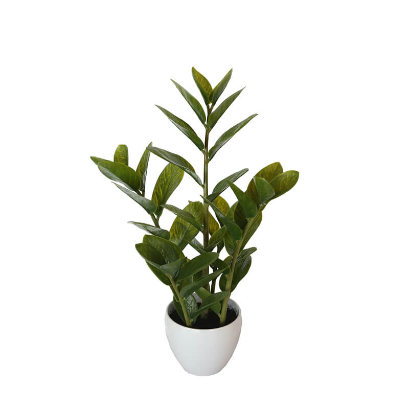 Lifelike 60cm Potted Zanzibar Artificial Plant Full view