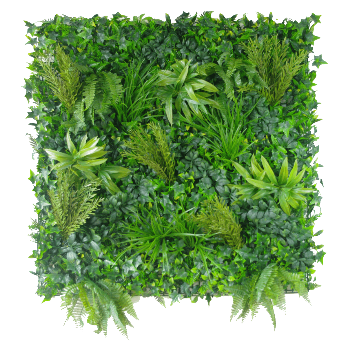  Lifelike Native Tea Tree Artificial Vertical Green Wall UV Resistant 100cm x 100cm Full view